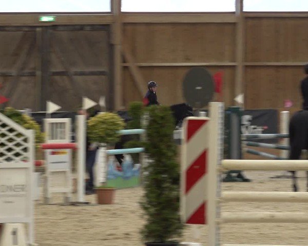 Reitturnier Holziken 2024