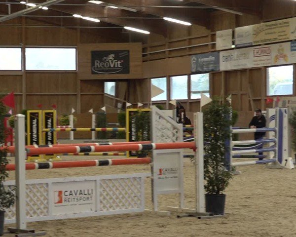 Reitturnier Holziken 2024