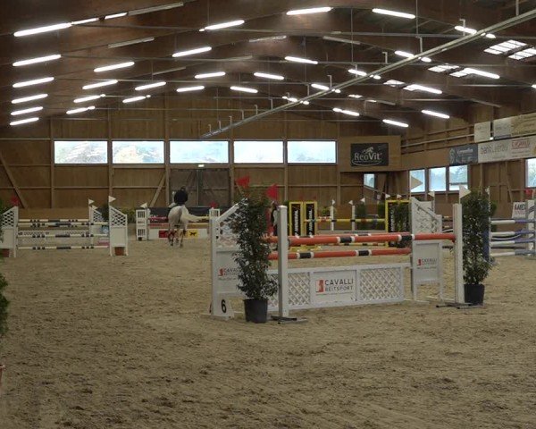 Reitturnier Holziken 2024