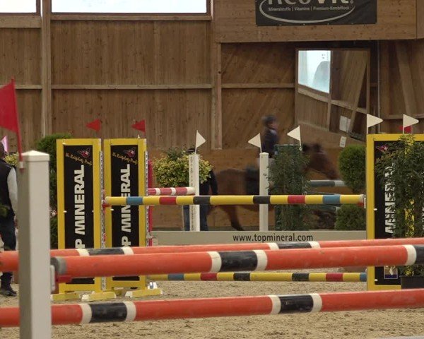Reitturnier Holziken 2024
