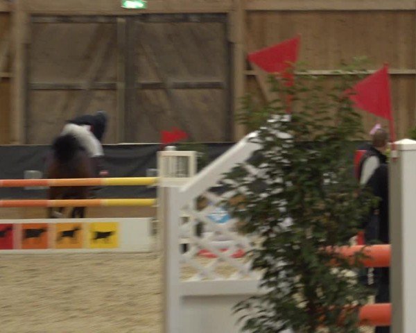 Reitturnier Holziken 2024