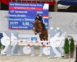 jumper Carsten As (Holsteiner, 2018, from Cascadello)