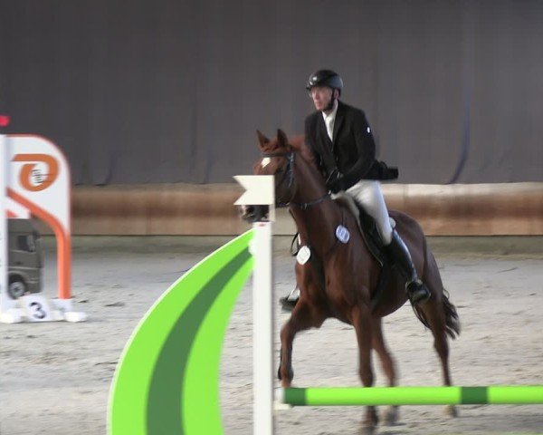 Reitturnier Tremsdorf, Eichenhof 2024