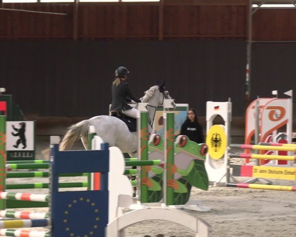 Reitturnier Tremsdorf, Eichenhof 2024