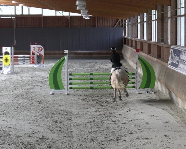 Reitturnier Tremsdorf, Eichenhof 2024