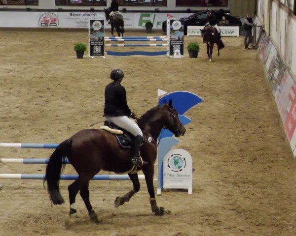 Reitturnier Neuwied 2024