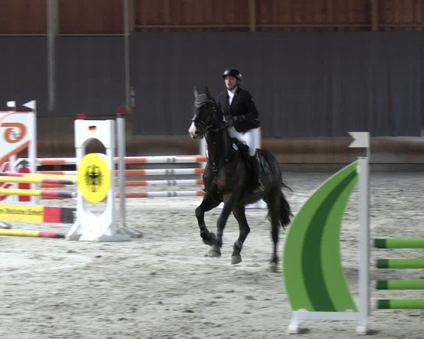 Reitturnier Tremsdorf, Eichenhof 2024