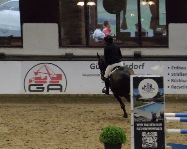 Reitturnier Neuwied 2024