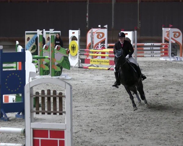 Reitturnier Tremsdorf, Eichenhof 2024