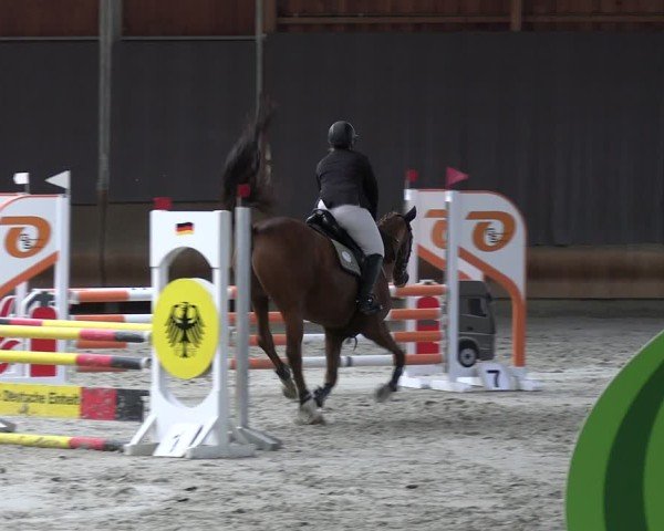 Reitturnier Tremsdorf, Eichenhof 2024