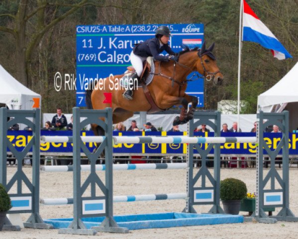 broodmare Calgot Pleasure (Irish Sport Horse, 2005, from For Pleasure)