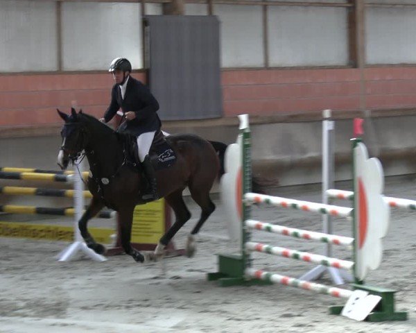 Reitturnier Tremsdorf, Eichenhof 2024