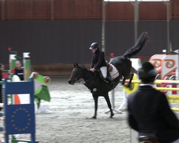 Reitturnier Tremsdorf, Eichenhof 2024