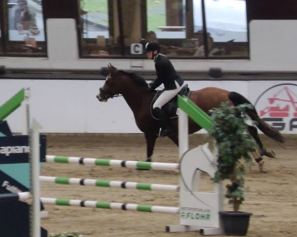 Reitturnier Neuwied 2024
