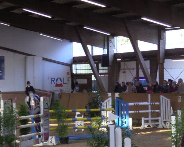 Reitturnier Steinheim 2021