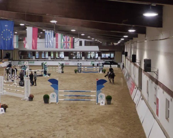 Reitturnier Neuwied 2024