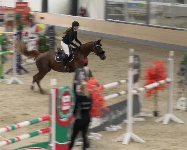 Reitturnier Borken 2024