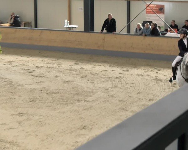 Reitturnier Borken 2024
