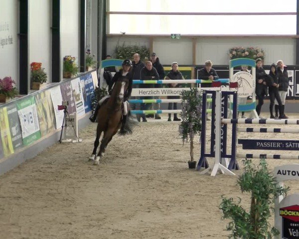 Reitturnier Borken 2024