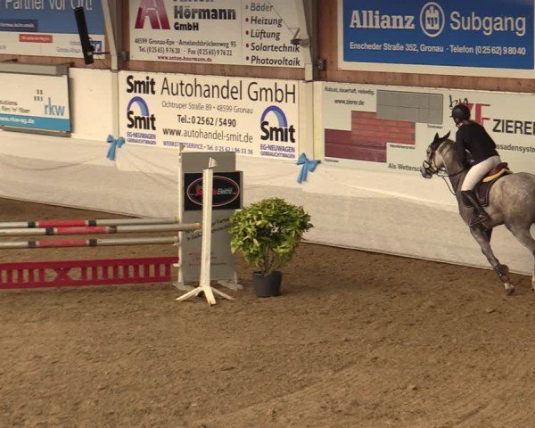 Reitturnier Gronau 2024