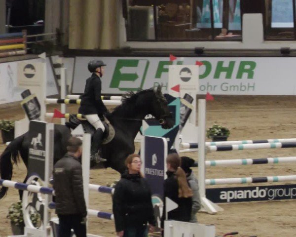 Reitturnier Neuwied 2024