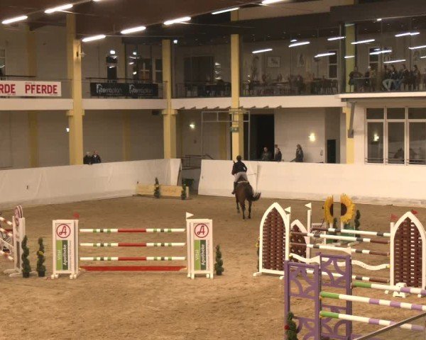 Reitturnier Stadl-Paura 2024