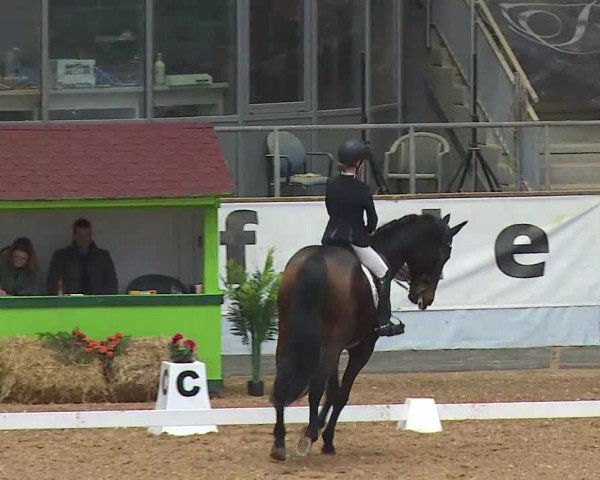 Reitturnier Kreuth/Opf. 2021