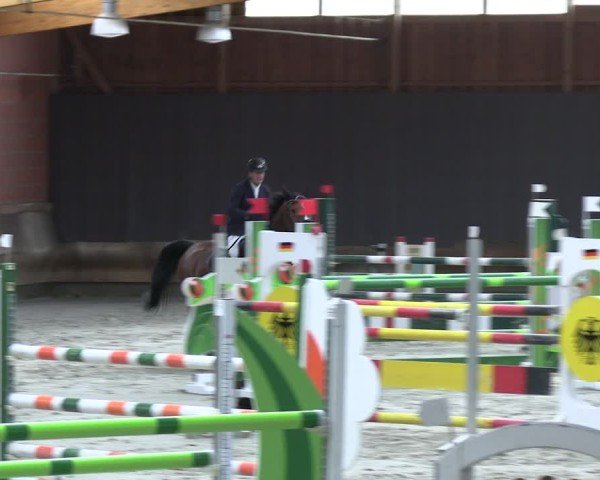Reitturnier Tremsdorf, Eichenhof 2024