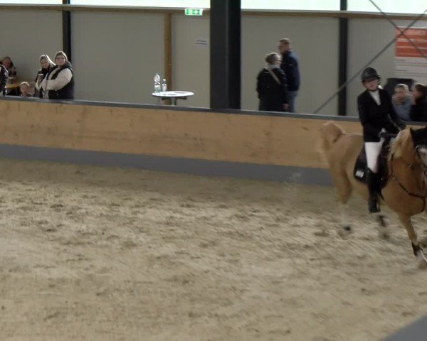 Reitturnier Borken 2024
