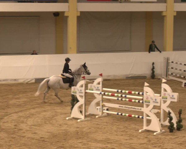 Reitturnier Stadl-Paura 2024