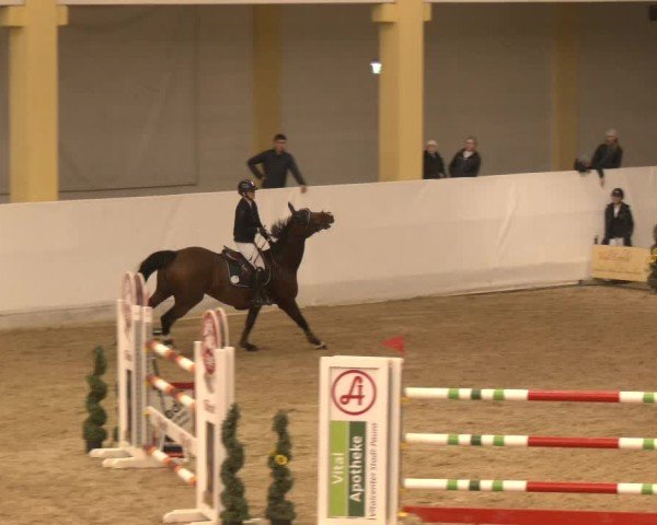 Reitturnier Stadl-Paura 2024