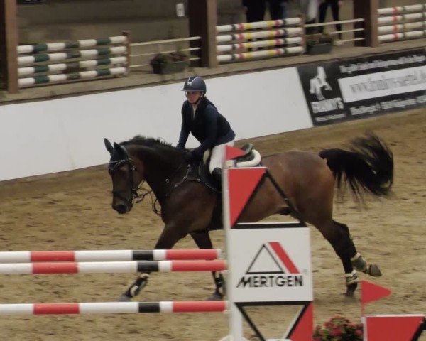 Reitturnier Neuwied 2024