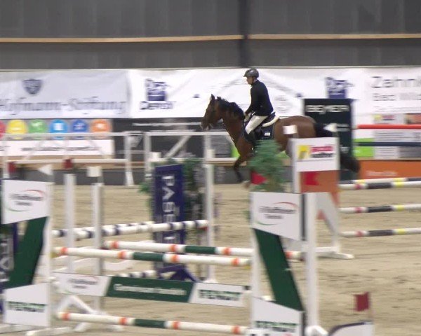 Reitturnier Borken 2024