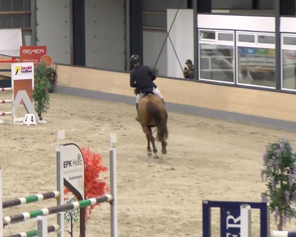 Reitturnier Borken 2024