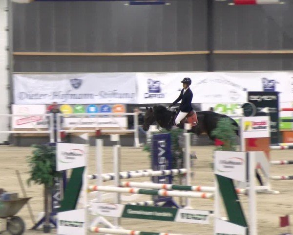 Reitturnier Borken 2024