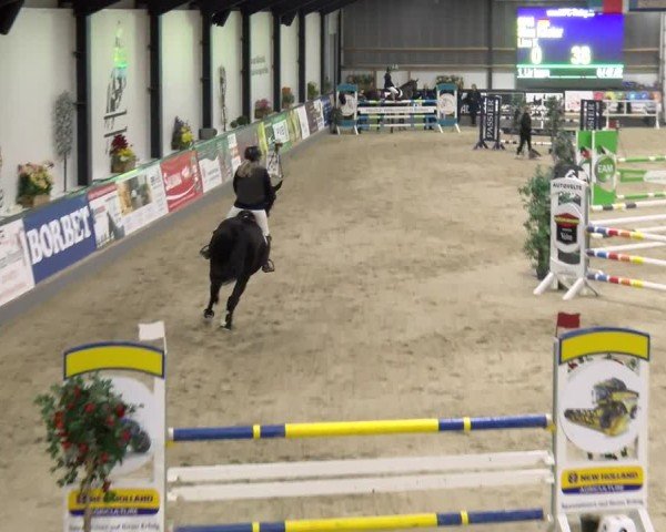 Reitturnier Borken 2024