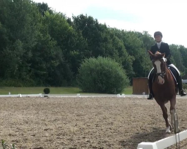 Reitturnier Olfen-Vinnum 2013