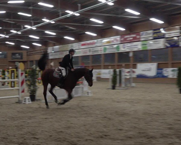 Reitturnier Holziken 2024