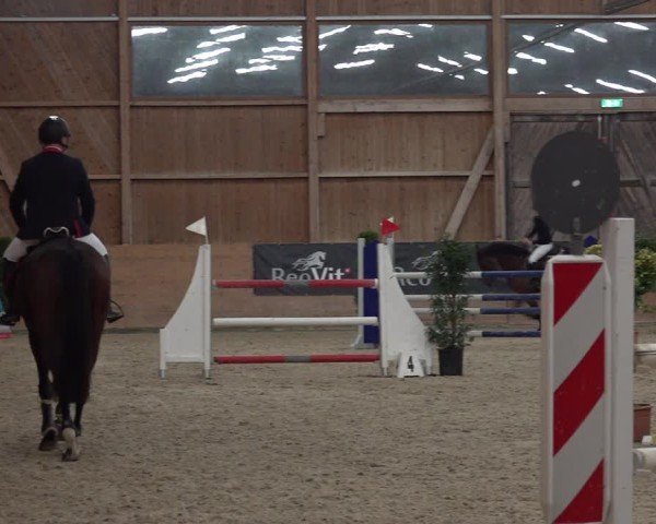 Reitturnier Holziken 2024