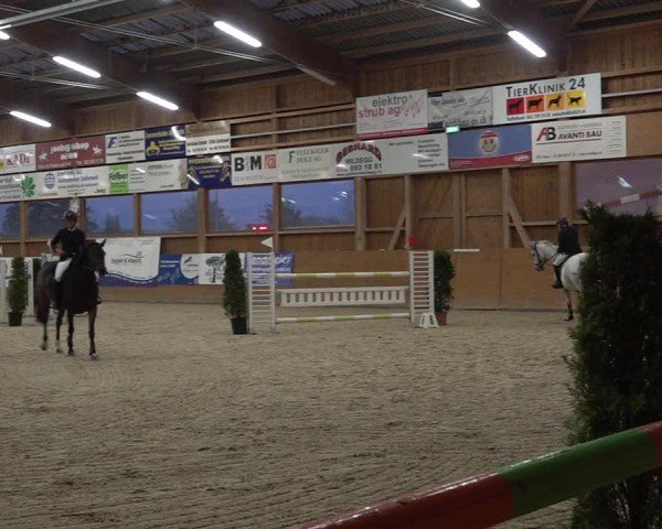 Reitturnier Holziken 2024