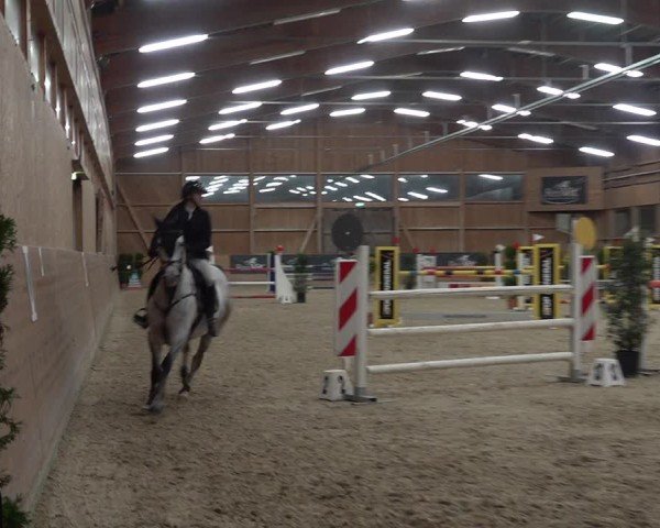 Reitturnier Holziken 2024