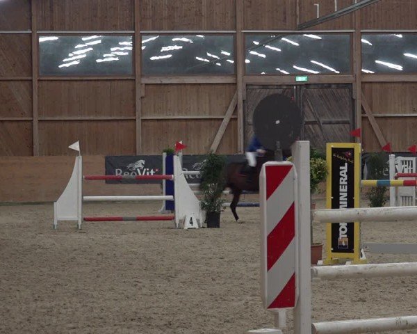 Reitturnier Holziken 2024