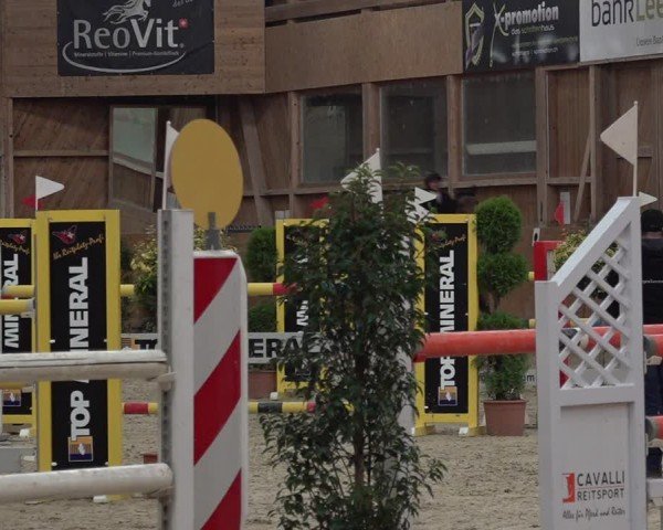 Reitturnier Holziken 2024