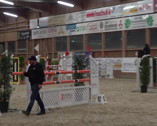 Reitturnier Holziken 2024