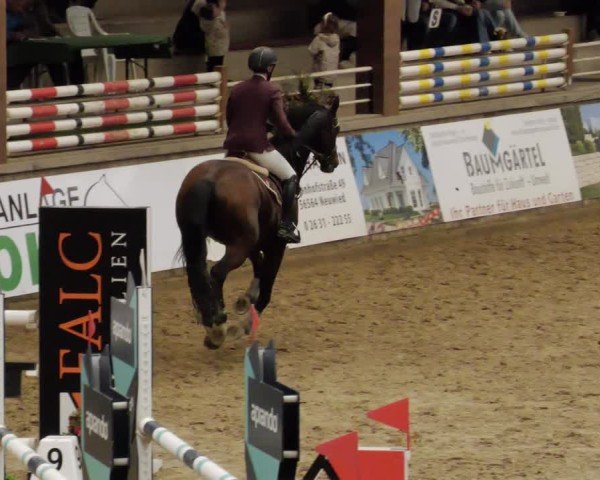 Reitturnier Neuwied 2024