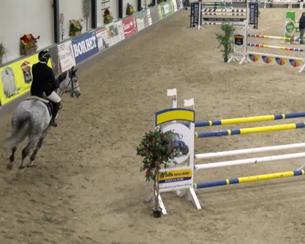 Reitturnier Borken 2024