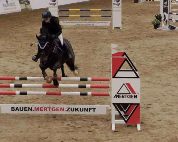 Reitturnier Neuwied 2024