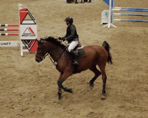 Reitturnier Neuwied 2024
