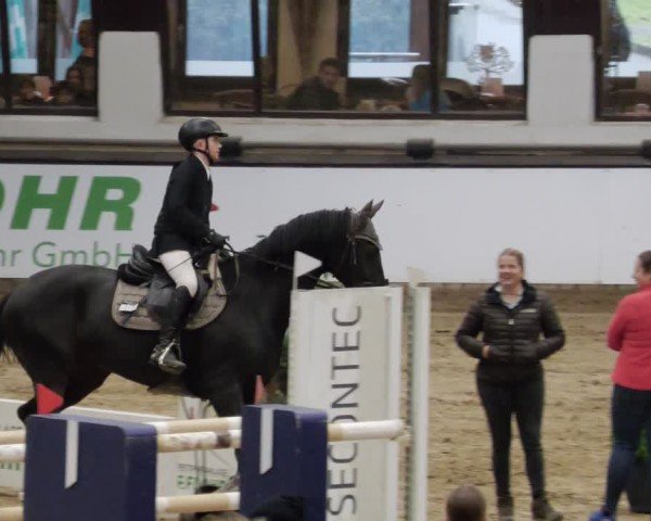 Reitturnier Neuwied 2024