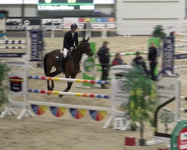 Reitturnier Borken 2024